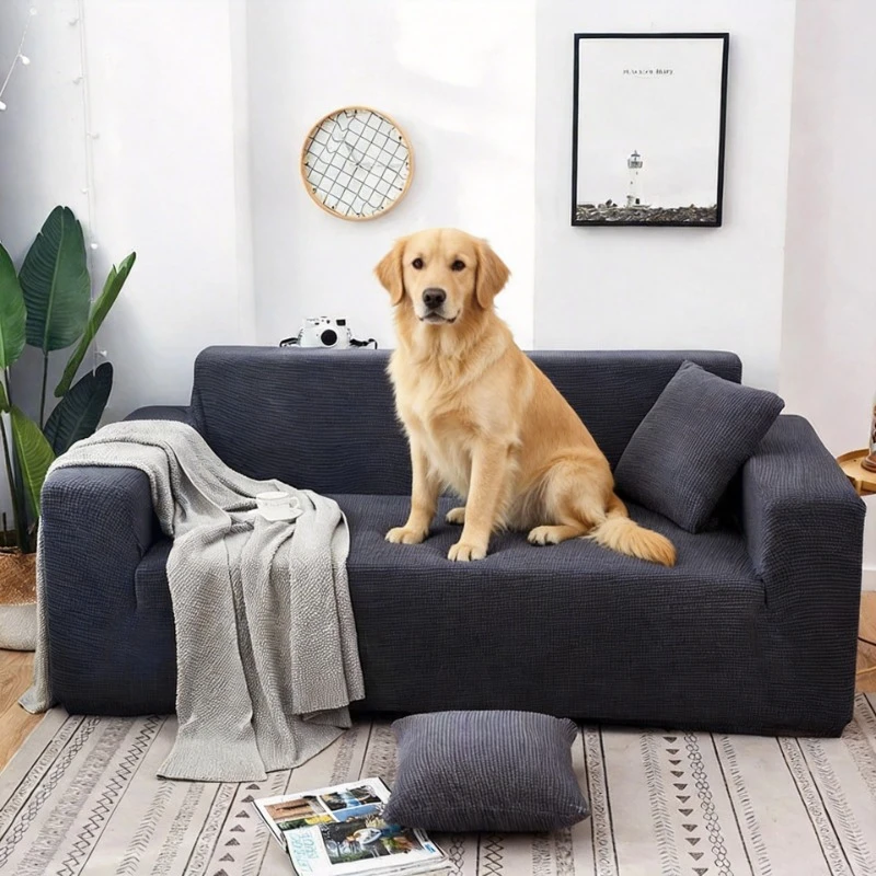 

Универсальные чехлы для диванов и кресел: эластичные, нескользящие, флисовые, моющиеся, водонепроницаемые, защита мебели от домашних животных (собак)