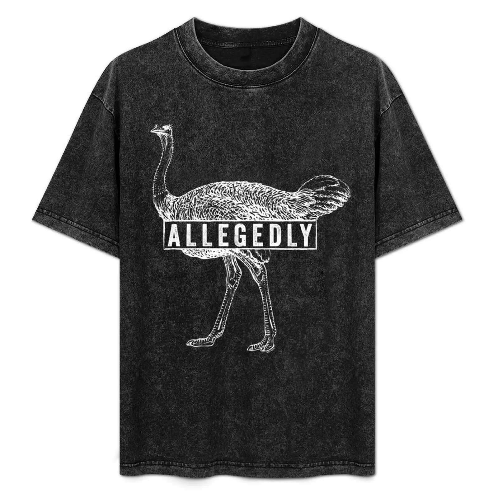 

Allegedly Ostrich (White) [Roufxis -RB] T-Shirt Urban Casual Loose Fit Tee