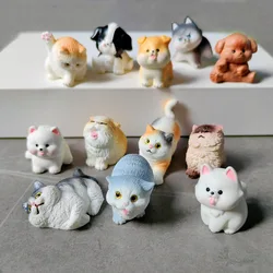 6pc Cute Cat Dog Set Animal Gift Decoration Resin Craft Miniature Figure Tiny For Bonsai Microlandscape Fairy Garden Decor