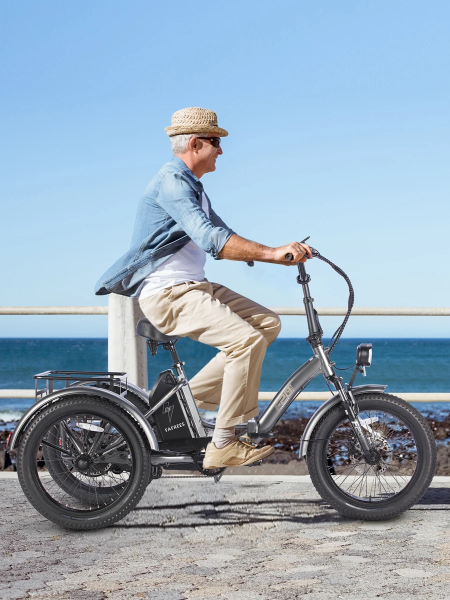 Fafrees F20 Mate 20 x 3,0 Zoll Cargo E-Bike mit 48V 20Ah Akku, Klappbares Elektro-Dreirad für Erwachsene, 25 km/h und 60-80 km Reichweite