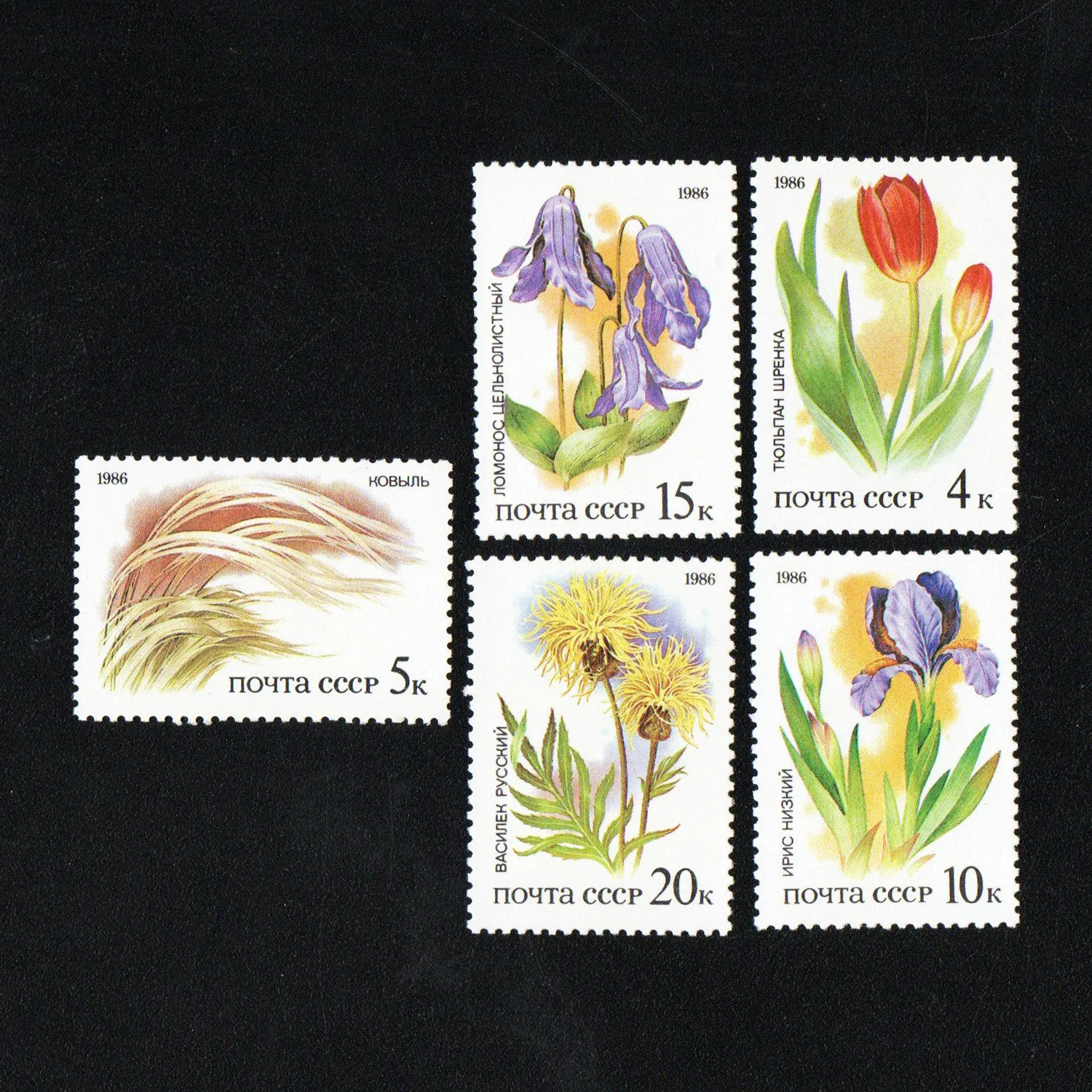 

Soviet Post Stamps Postage Y1986 Grassland Precious Plants Full Set 5 New Collectible Postage Stamps Material For Scrapbooking