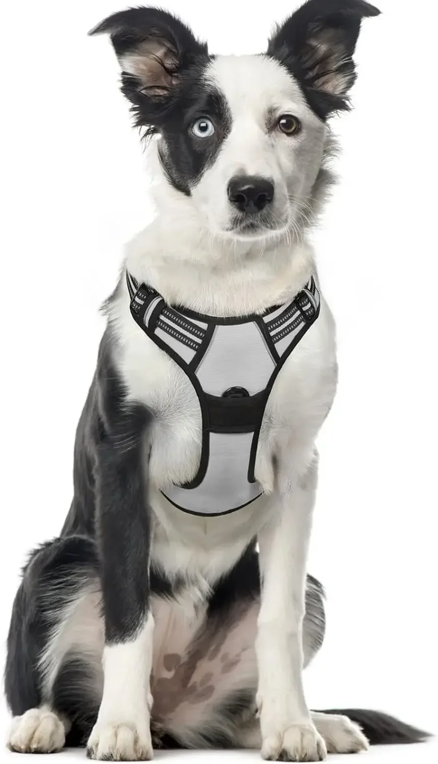 No-Pull Pet Harness with 2 Leash Clips, Adjustable Soft Padded Dog Vest, Reflective No-Choke Pet