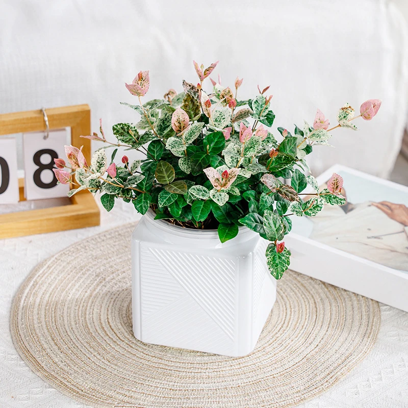 

Mini Self Watering Flower Pot Fish Tank Transparent Plastic Plant Pots Self Watering Planter Pot Vase For Home Decoration