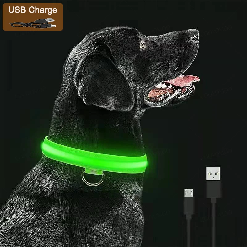 Collar luminoso con 3 modos para perro, Collar de carga Led, Usb, desmontable, con brillo nocturno, prevención de pérdida, accesorios para mascotas