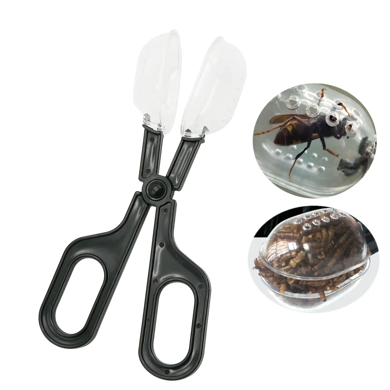 1Pc Apiculture Plastic Bee Queen Cage Clip Bee Catcher Insect Capture Beekeeping Isolation Room Beekeeping Tool Equipment