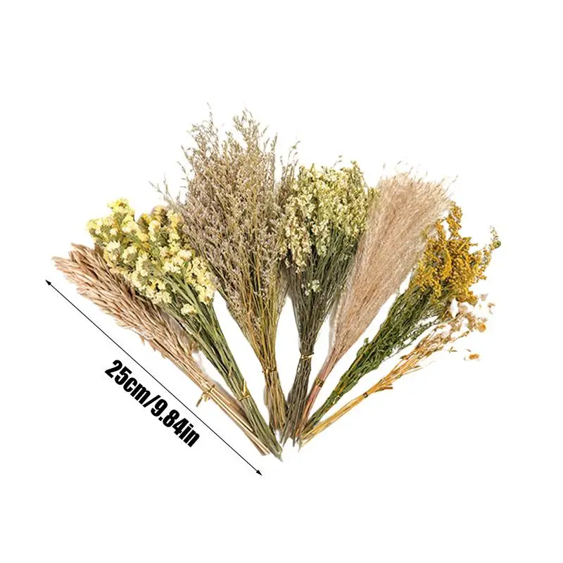 Flower And Plant Bedding Hamster Deodorizing Bedding Golden Bear Nest Landscaping Supplies Dried Flowers