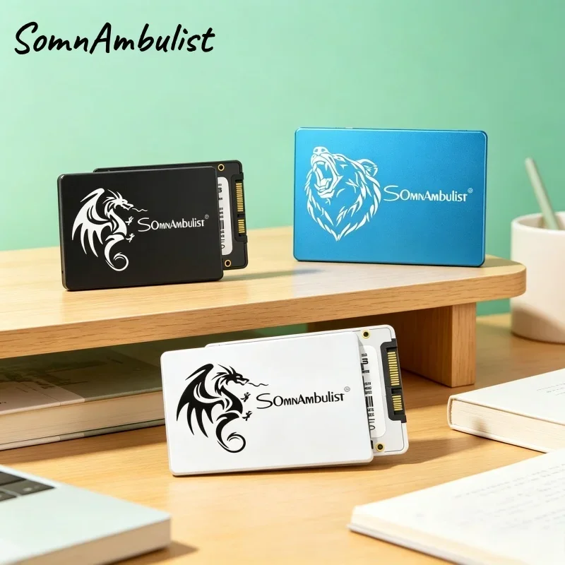 

SomnAmbulist High-speed 2.5 Inch SATA3 Multiple Capacities Internal SSD, 120GB/128GB/2TB Solid State Drive for PC & Laptop