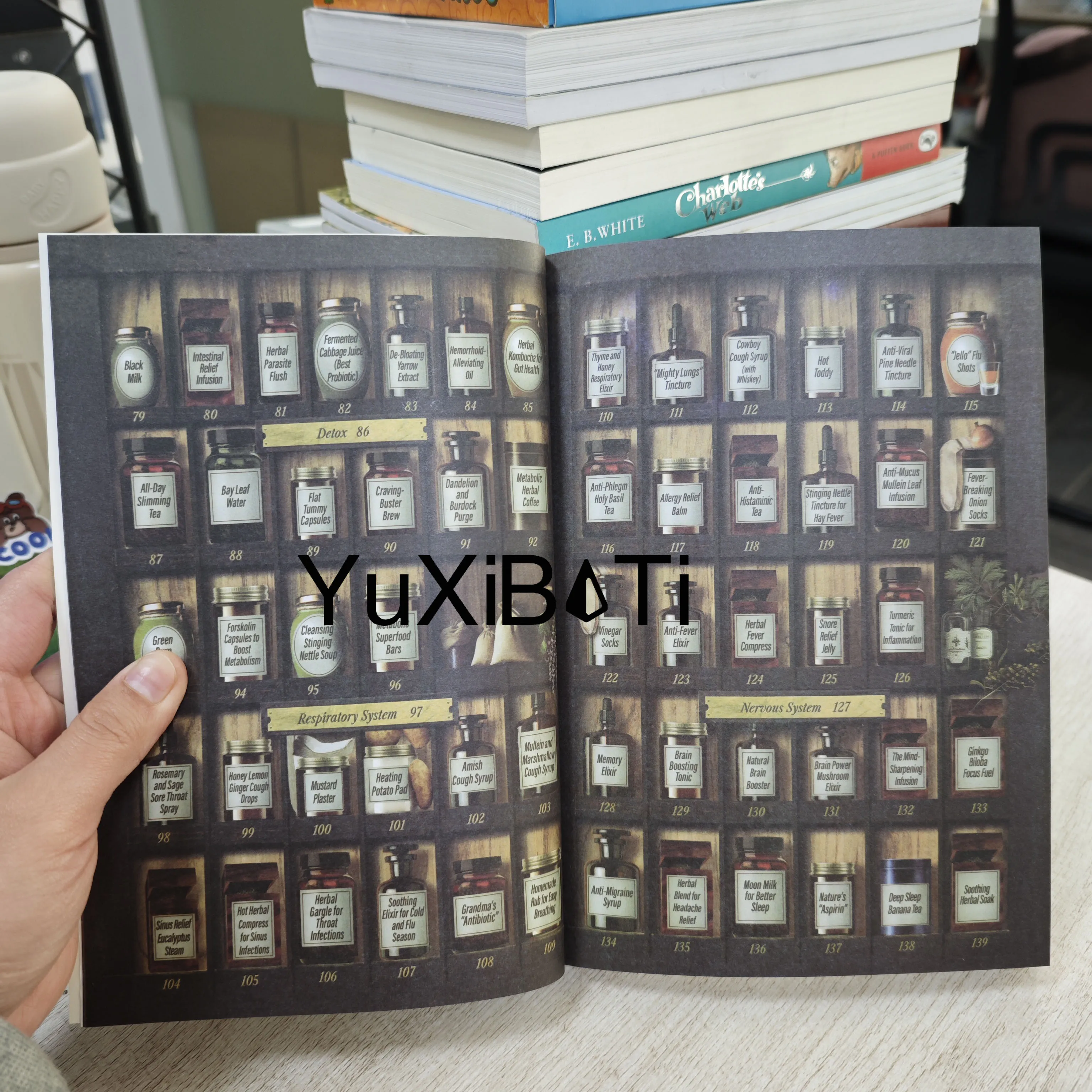 كتاب العلاجات العشبية للطبيب المنزلي 250 علاج قوي في أطراف أصابعك المنسية صيدلي منزلي للعافية اليومية