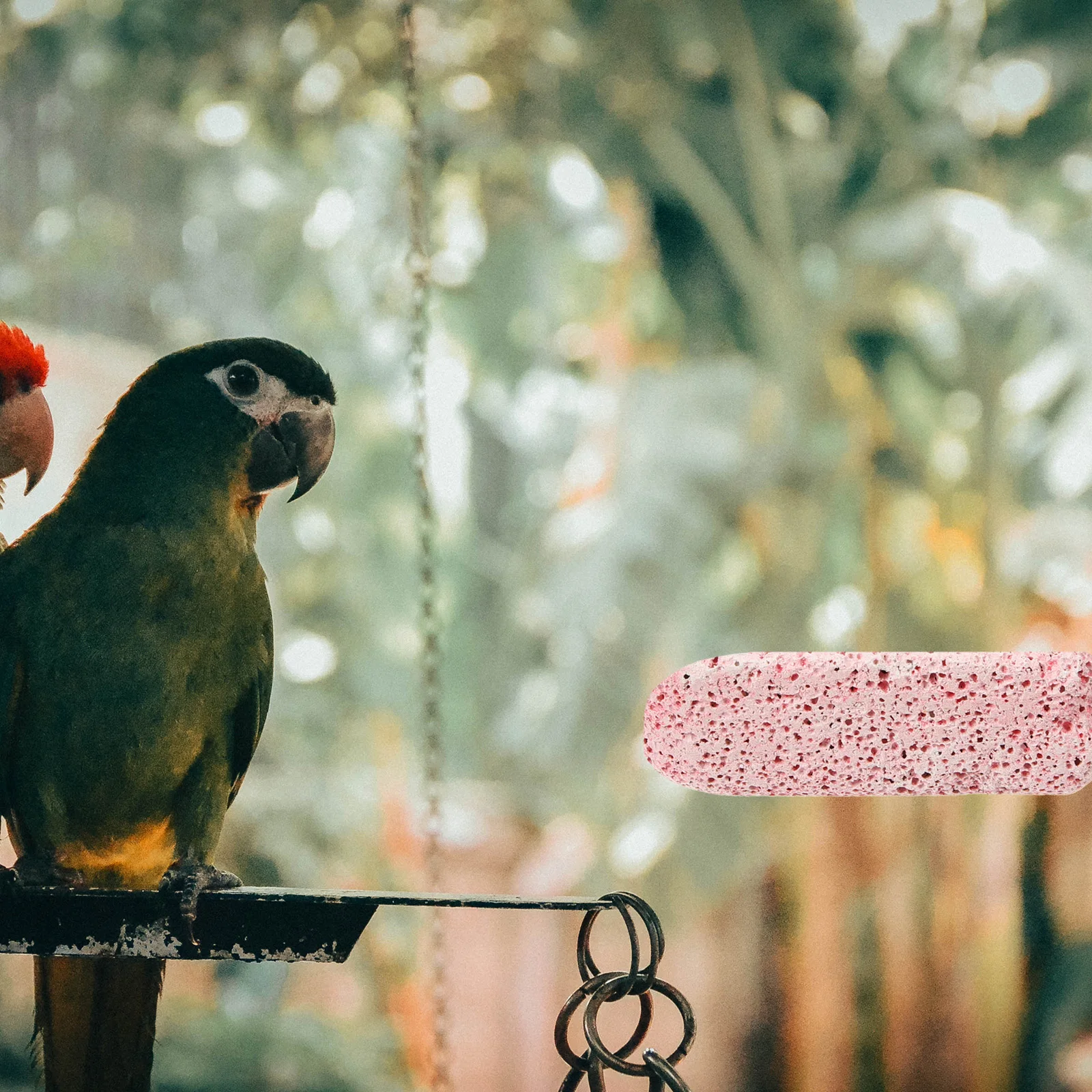 

Bird Perch Stand For Parrot Cage Pumice Grinding Rod Durable Mineral Chew Stick Multi-Functional Training Play Rest Rod For Bird