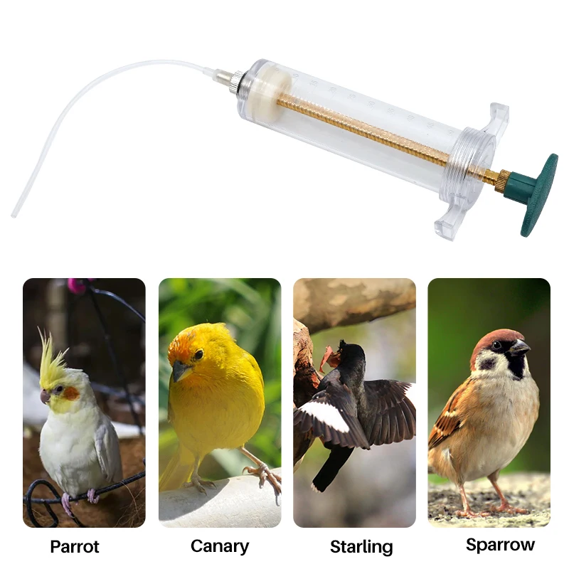 Bird Parrot Water Feeding Syringe for Poultry Chick Small Pet Medicine Feeder Multiple Specifications and 1 Hose Accessories