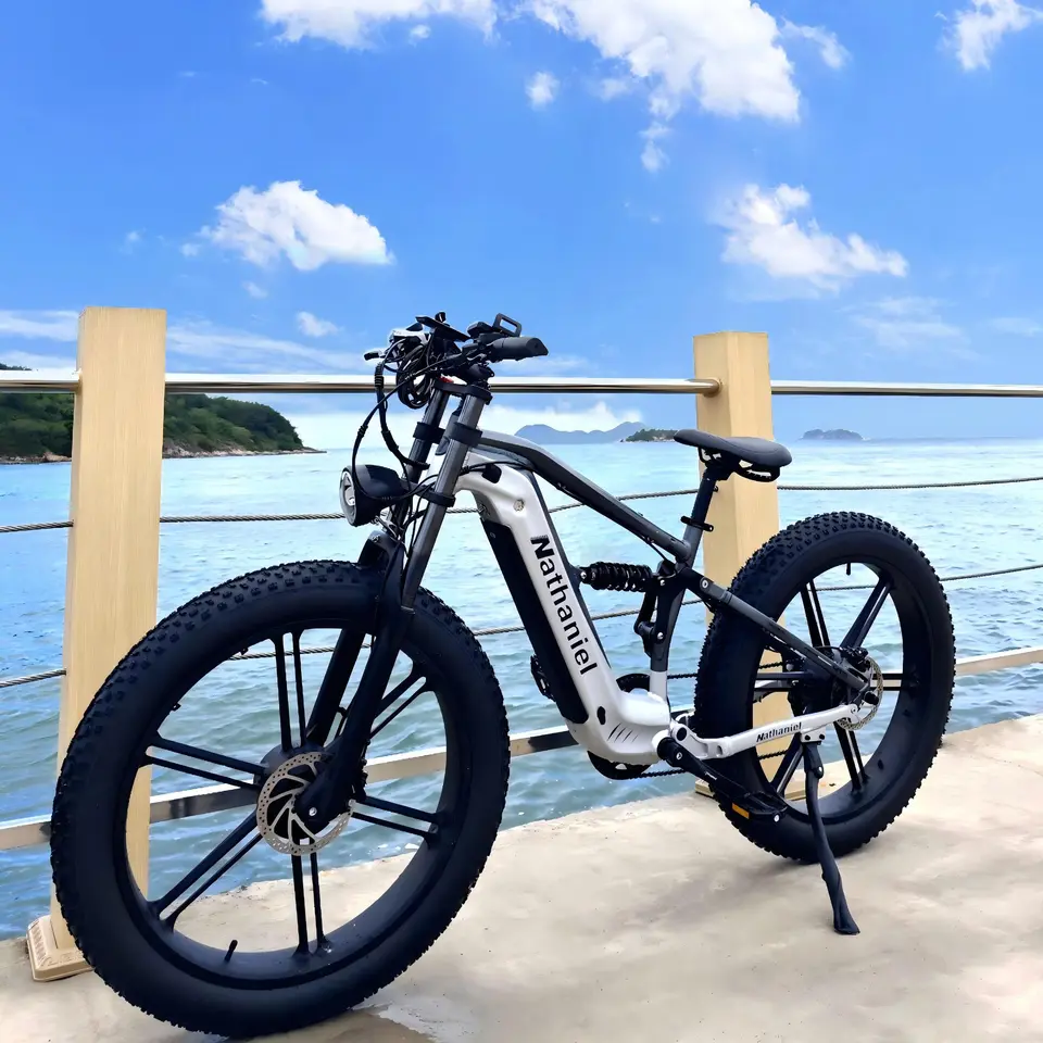 Nathaniel SYR09 Dual Motor 2000W Electric Bike 48V 40Ah Mountain E-Bike 26*4.0 Fat Tire All Terrains Off-Road Electric Bicycle image 16