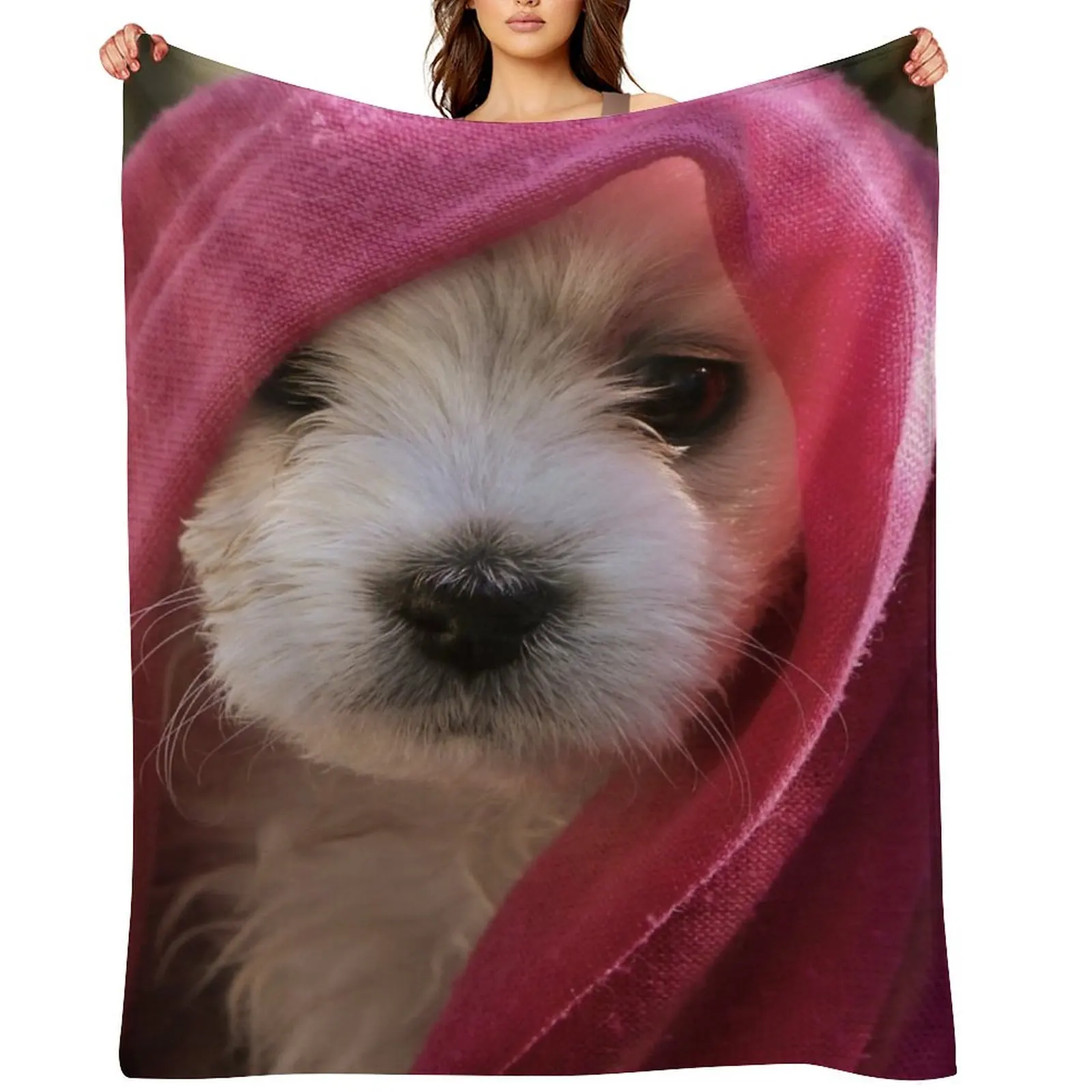 

Gypsy ~ Bichon Throw Blanket Stuffeds Nap Plush for babies Blankets