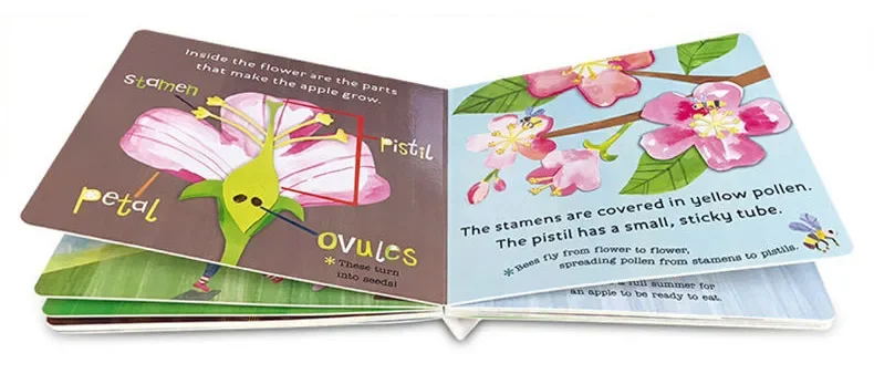 Hello World How Do Apples Grow، كتب الأطفال الصغار الذين تتراوح أعمارهم بين 1 2 3، كتاب لوحة مصور باللغة الإنجليزية 9780525578758