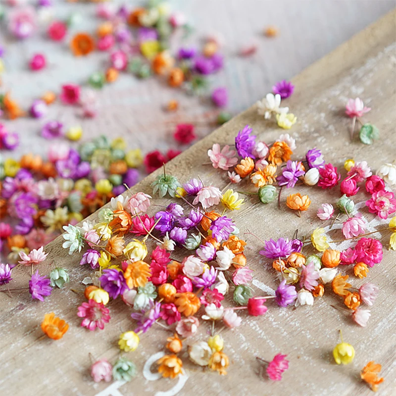 

140/280pcs Flowers Little Star Flower Head DIY Craft Epoxy Resin Candle Making Jewellery Home Party Decor Press Flowers