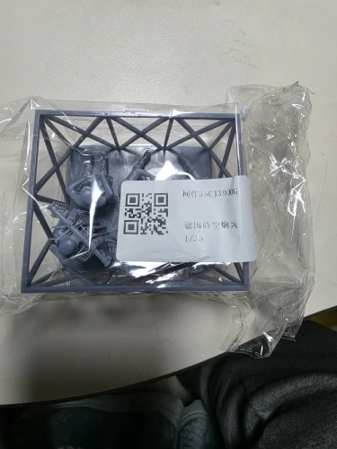 Buyer photo of this resin kit