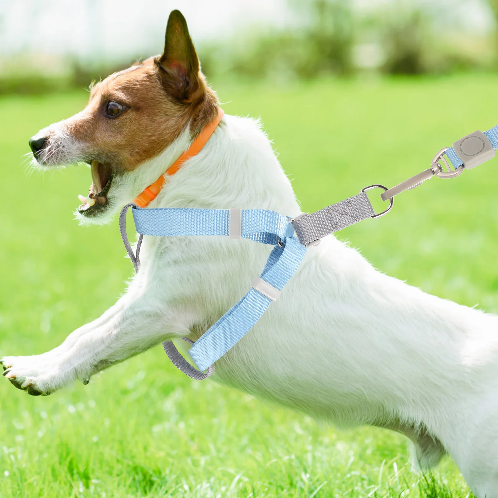 

Adjustable Dog Harness Leash Set for Small Large Dogs Lightweight Compact Size Polyester Training Outdoor Activity