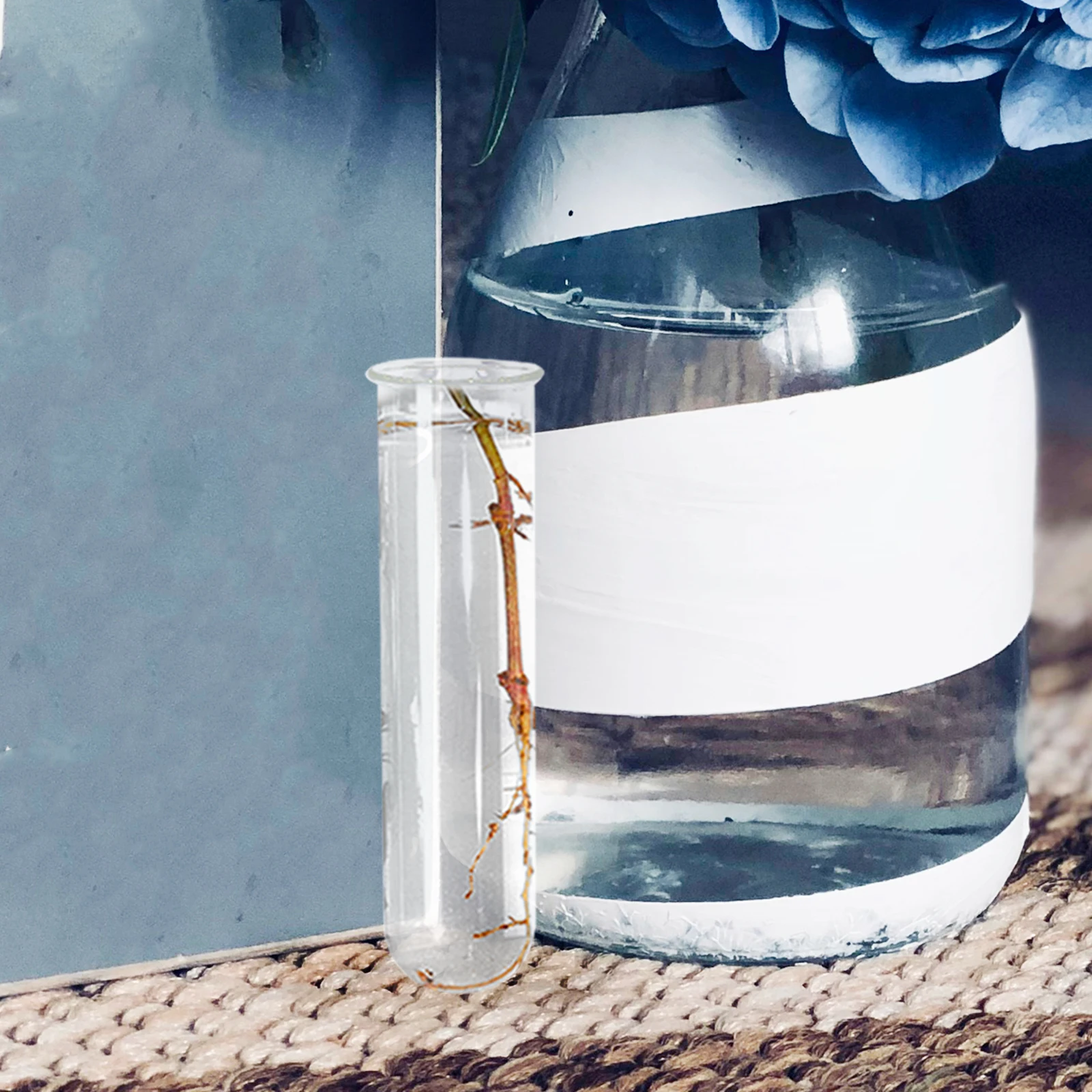 

4Pcs Clear Glass Test Tube Vase Hydroponic Flower Case for Plant Growth Observation Stylish Desktop Terrarium Glass Planter