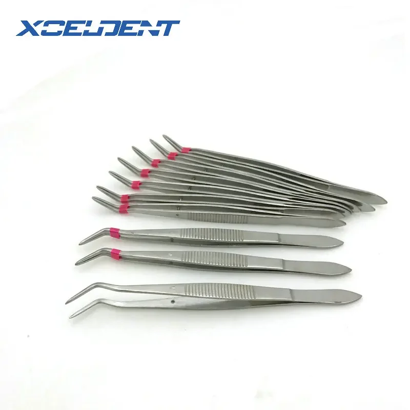 10pcs Stainless Steel Tweezers Serrated Curved Dental Surgical Instruments with location Dentist Tools