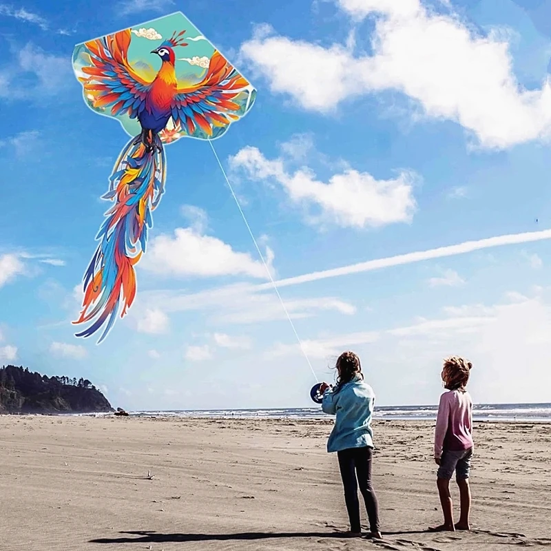 kostenloser versand phoenix kite außen spiele spielzeug sport fliegen drachen vlieger cerf volant enfants papalote trompo de madera kitesurf