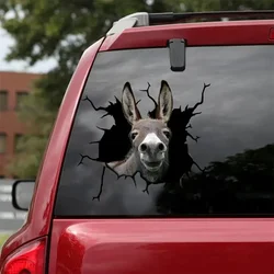 Autocollant d'âne personnalisé pour voitures, fenêtres, ordinateurs portables et toute surface lisse, autocollants d'âne, autocollants d'animaux