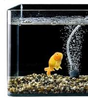 Solar Water Pond Aerator Kit 2.5W/5V Air Pump Oxygenator For Outdoor Garden Fish Pond Hydroponic with Bubble Stone