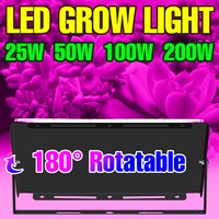 200W LED Full Spectrum Grow Light 220V Greenhouse Plant Lamp Tent Vegetables Indoor Flower Succulent Cactus Cultivation Lighting