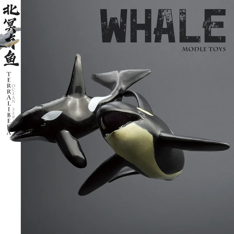 Realistic Marine Animal Figure Whale Toys Beluga Orca Blue Multiple Styles Sea Creature Desktop Ornament Wholesale Statue Gift