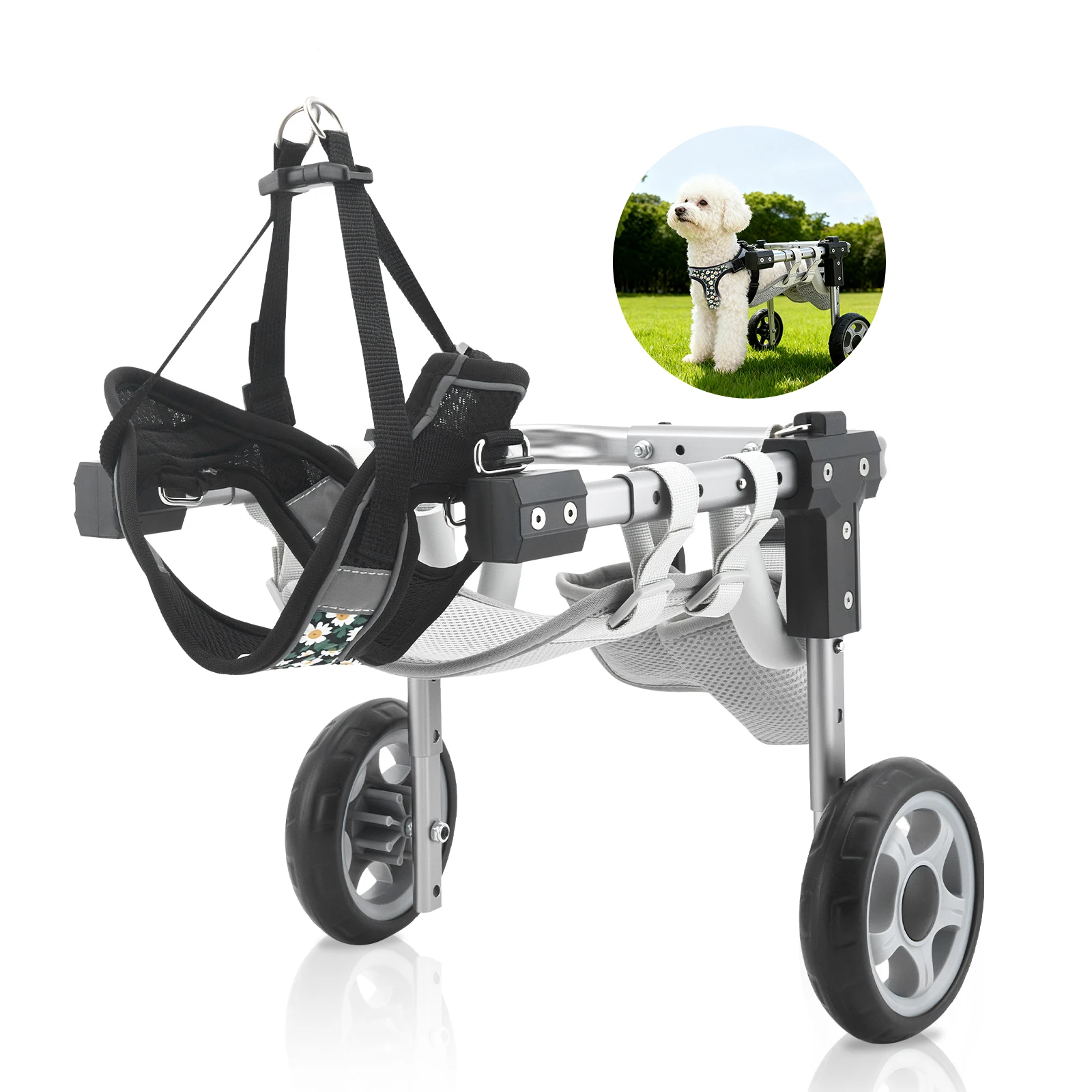 Fauteuil roulant pour chiens handicapés, léger, pour la rééducation des membres arrière, soutien aux pattes arrière, pour animaux à paralysie des membres.