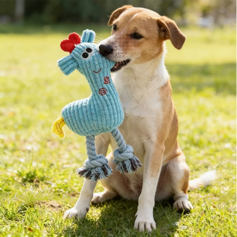 Queaky Dog Plush Toy Interactive Pet Chew Resistant Toy Puppy Kitten Teeth Grinding Indoor Play Supplies