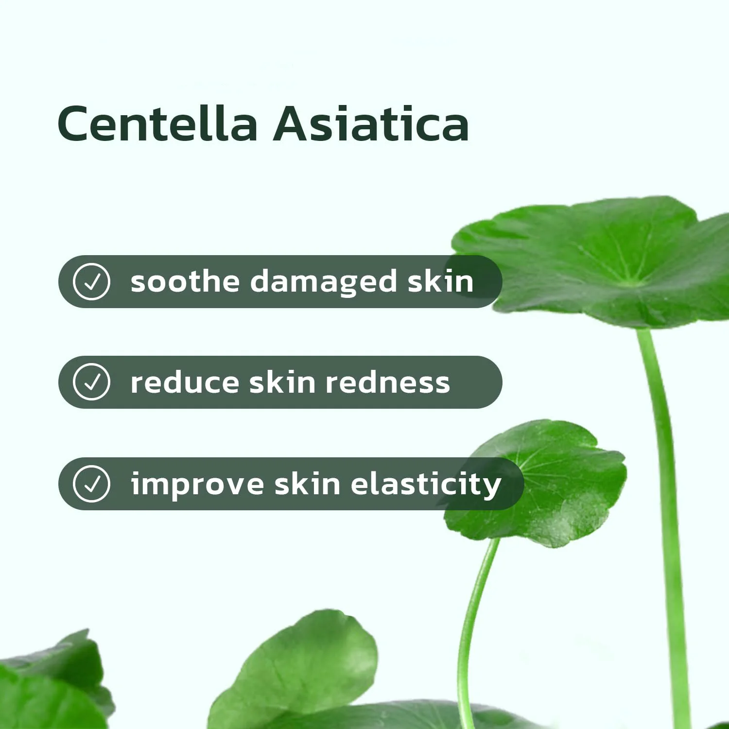 Oxygenated Face Serum Hydrating & Soothing Pore Minimizer Serum Centella Asiatica Sensitive Skin Refreshing Multi-Care Oil