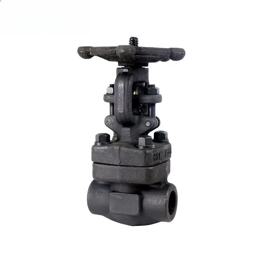 J61H Forged Steel Globe Valve NPT SW A105 800LB Welded End Forged Steel Globe Valve OS&Y