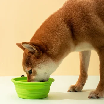 350/1000ML 애완 동물 고양이 먹이 물 그릇 개 고양이 안전 라텍스 접는 강아지 큰 개 여행 그릇 야외 마스코트 피더 용품 