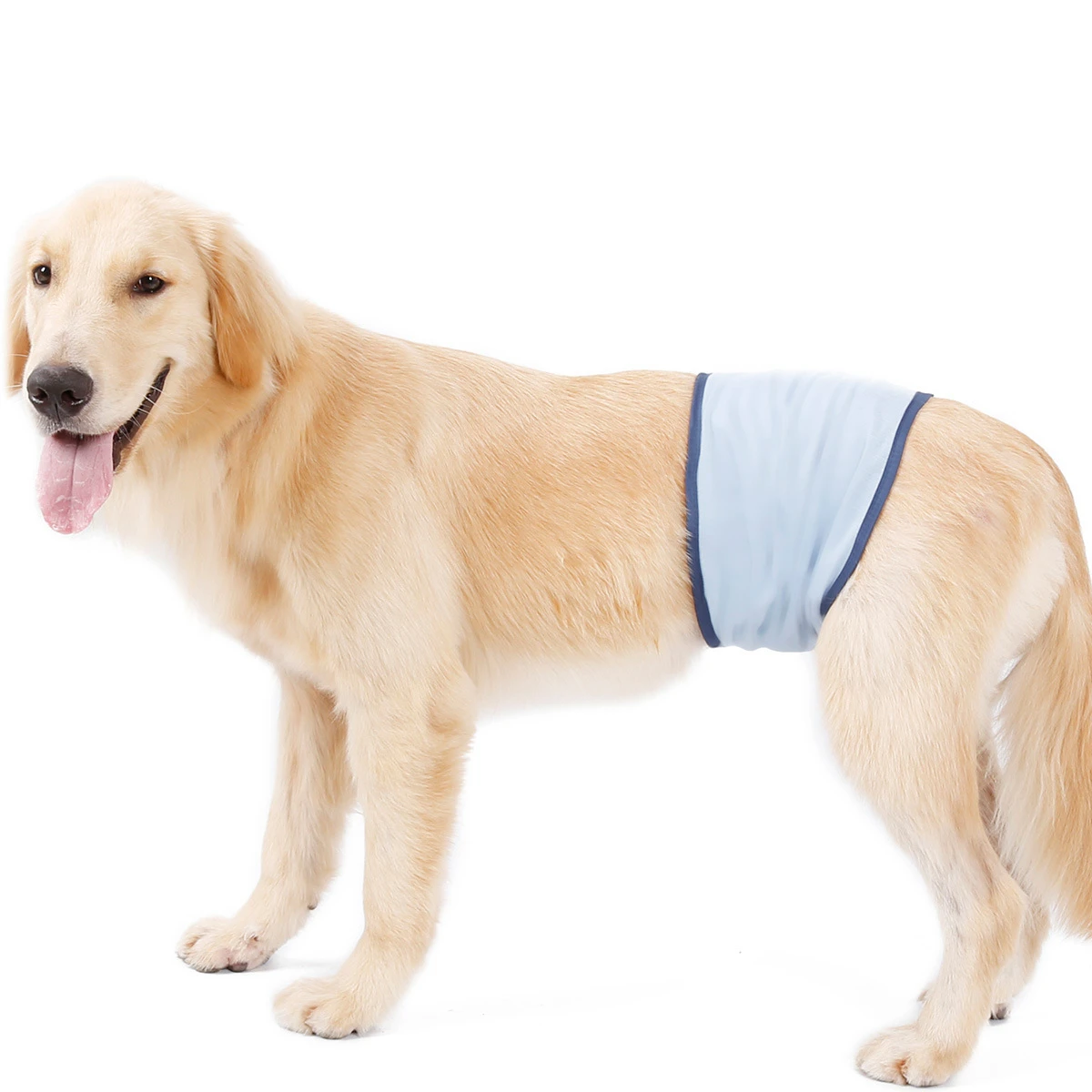 Pet Physiological Underwear Antibacterial Breathable Water Absorption Anti-leakage Male Dog Sanitary Pants