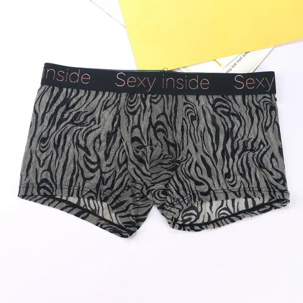 Mesh Sheer Ice Silk Men Briefs Sexy Leopard Print Underpants See Through Boxers Traceless Briefs Shorts Bulge Pouch Underwear