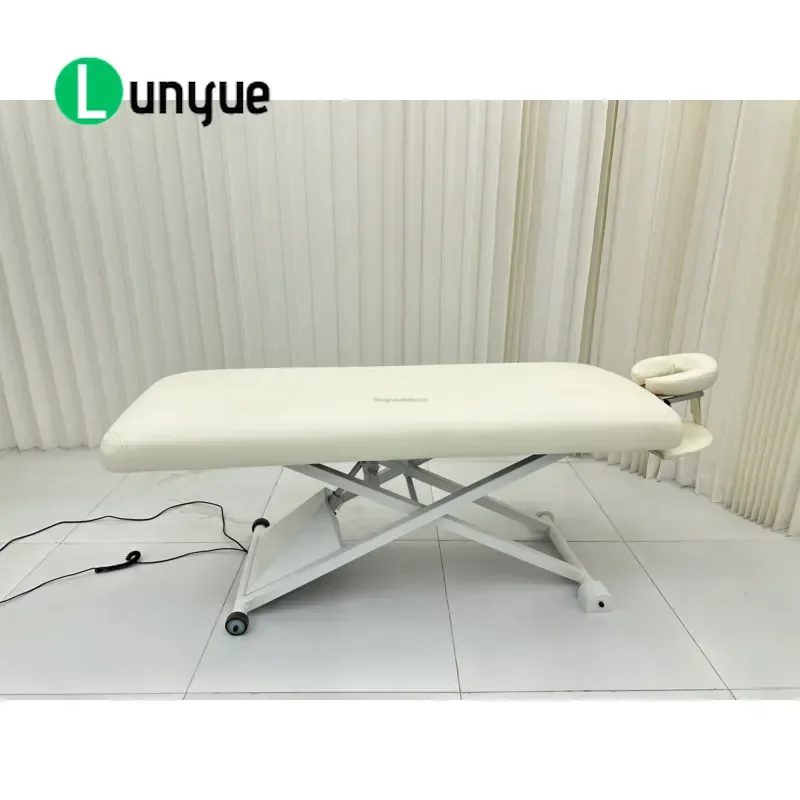 Electric Reclining Massage Beauty Bed Height Adjustable Iron Frame Luxury Modern Spa Furniture for Hospital Mall