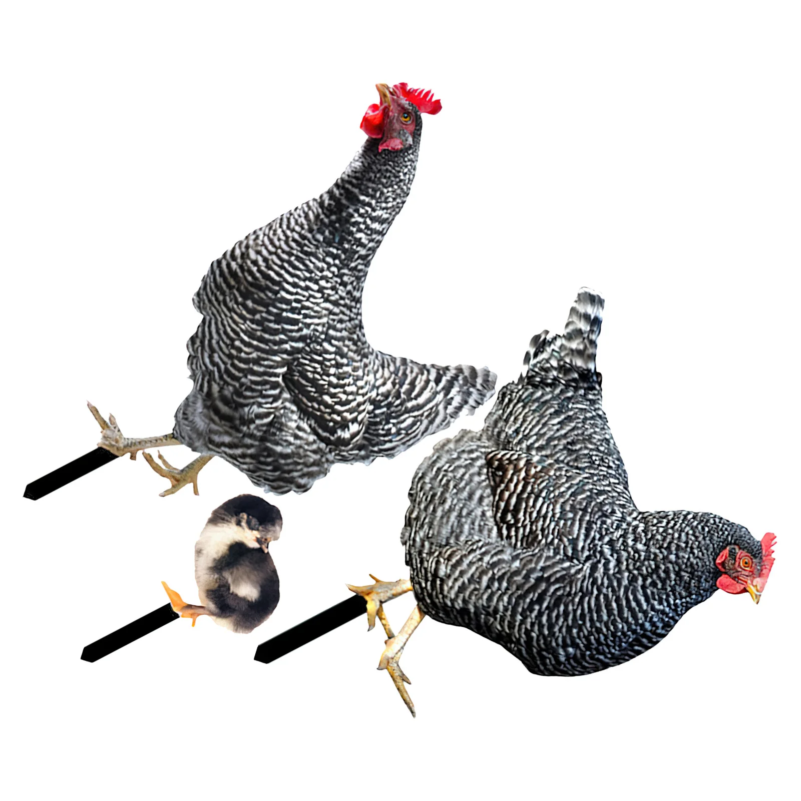 

3pcs Garden Chicken Stake Lawn Decor Outdoor Yard Ornament Decorative Animal Insert For Backyard Farmhouse Rustic Style