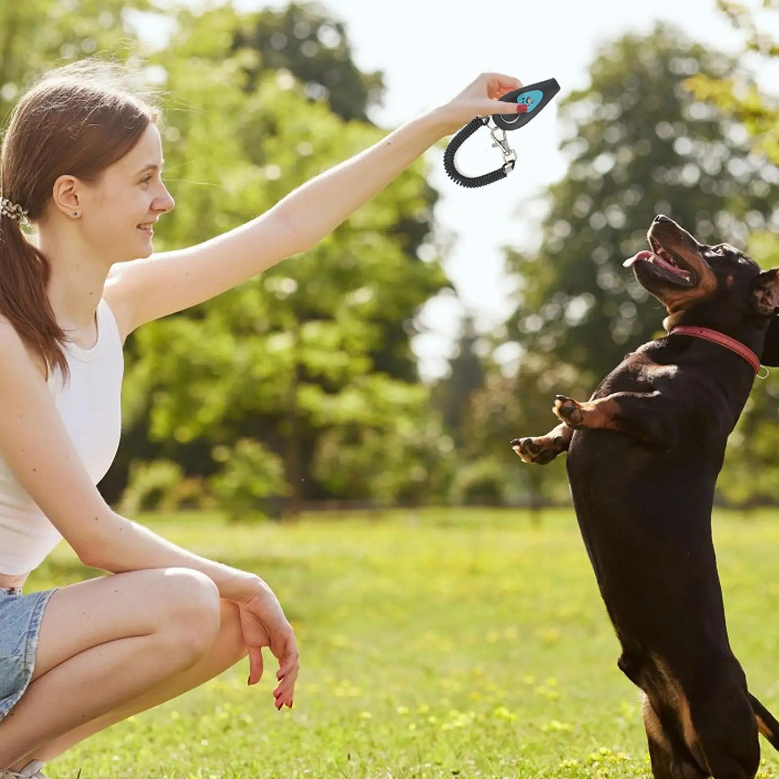 Thumbnail 2 - #10 Latest Puppy Training Whistles Offers