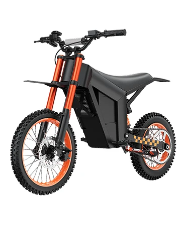 Electric Dirt Bike