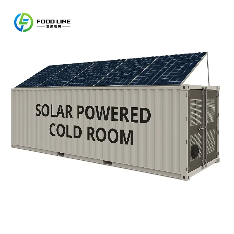 Customized Cost-Effective Solar Freezer Container Cold Room with 1Year Warranty Easy Operation for Storage Vegetables and Fruits