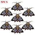 PE7972CT
