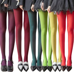 2025 nova primavera feminina 80d denier veludo opaco collants senhoras colorido collants estiramento vestir cores dopamina