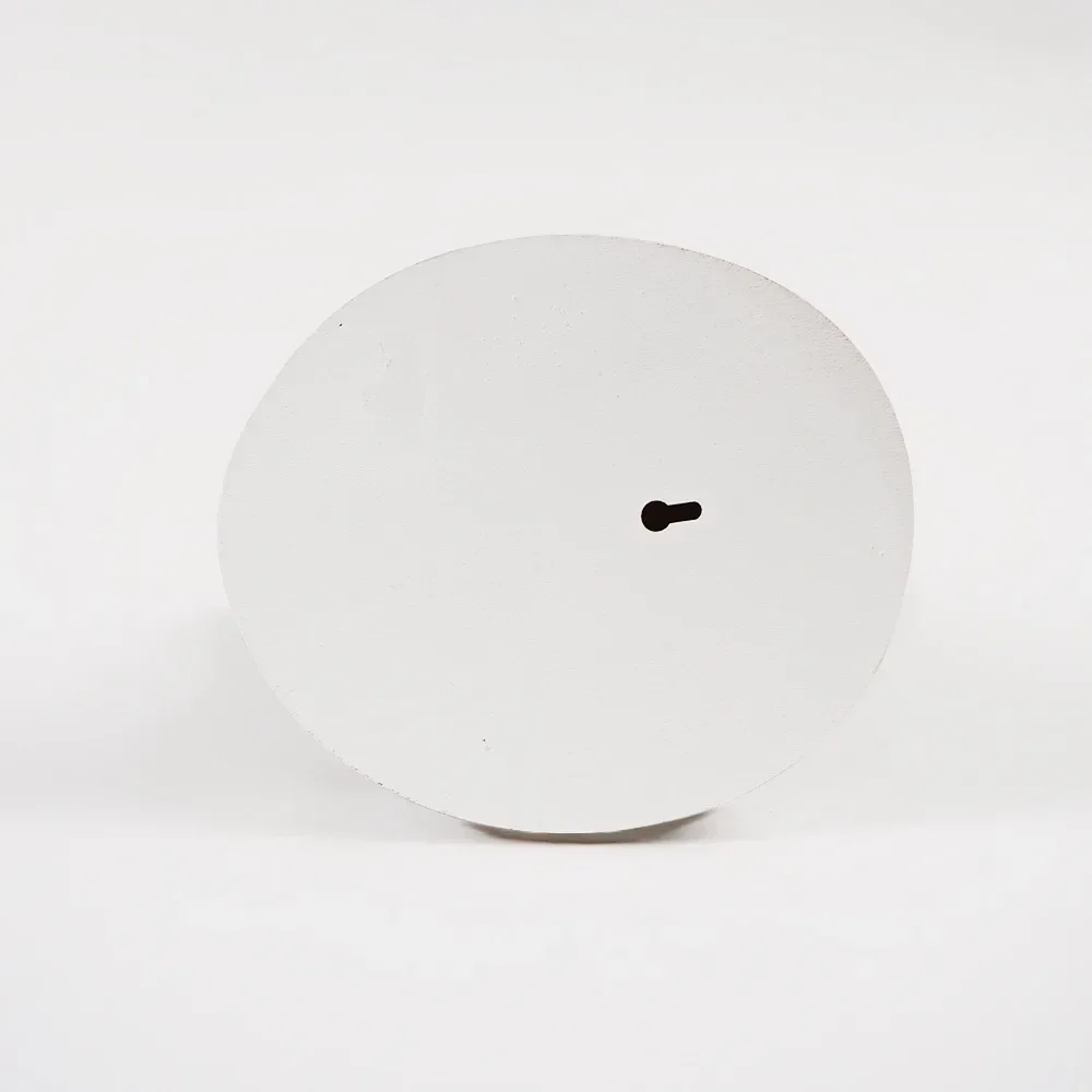 Naścienny popiersie dinozaura Rzeźba głowy tyranozaura Lateksowa pianka wisząca do pokoju dziecięcego Bar Ściana Dekoracja domu