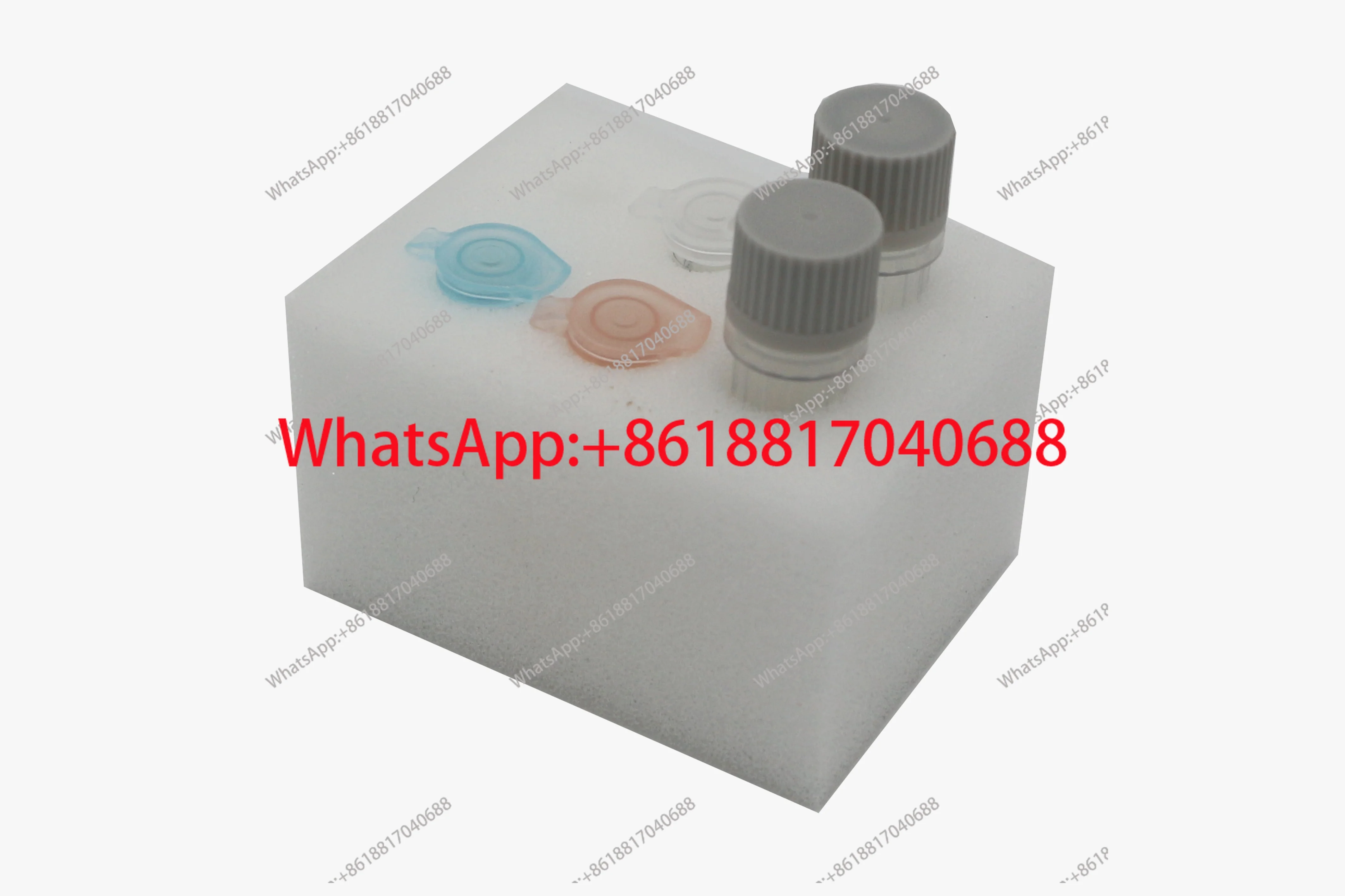 Goat Sheep Dna Id K…