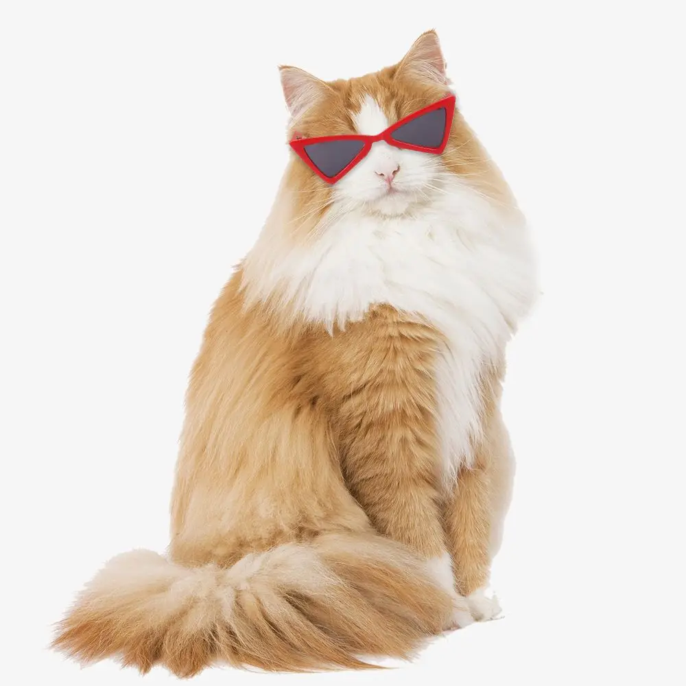 Fashioning Multicolor Triangle Frames Mirror Square Glasses Cat Glasses Pet Eyeglasses Dog Sunglasses