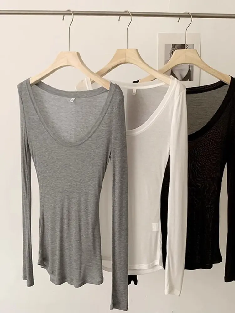 Skin-Friendly Loose Thin Women's T-Shirt Pure Desire Lyocell Material Korean Style Commute Wind Regular Long Sleeve round Neck