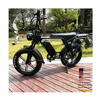 two-seater electric bike 20\