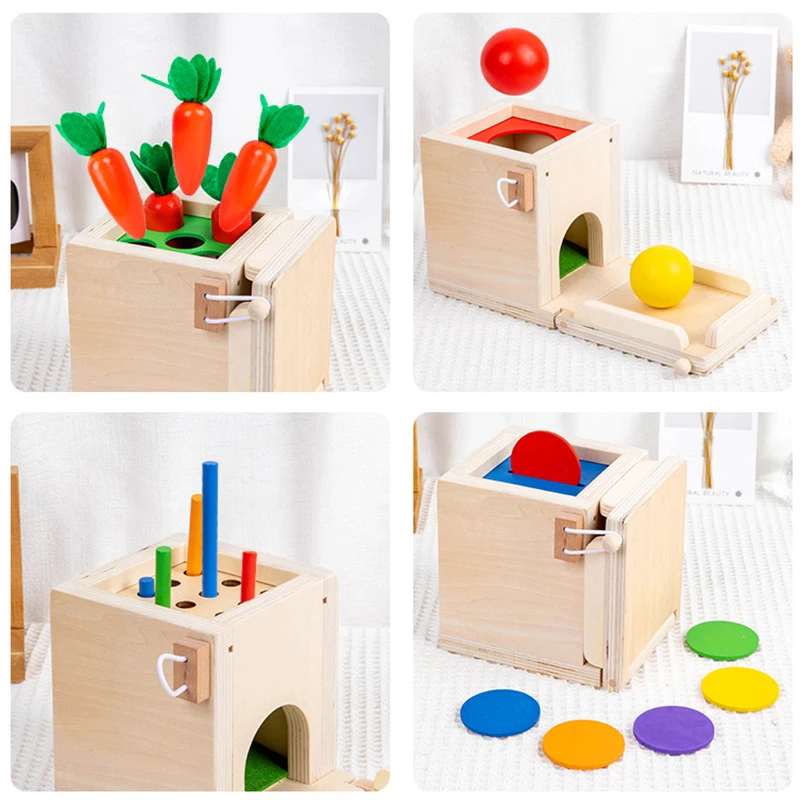 Baby Wooden Montessori Toys Toddlers Play Kit 4 in 1 Object Permanence Box Coin Box Carrot Harvest Color Match Sticks Drop Game