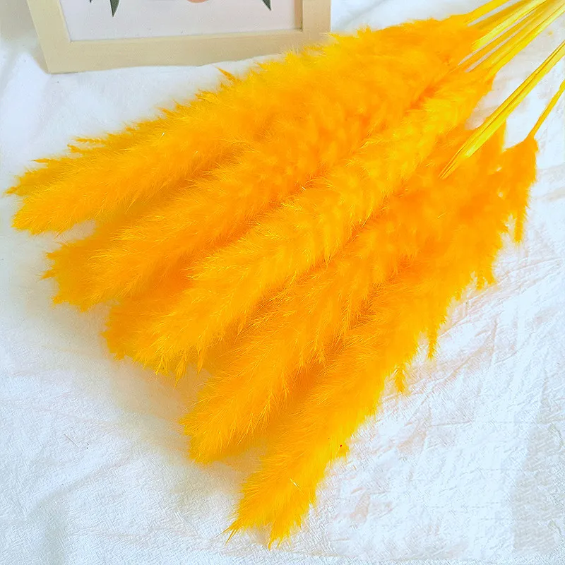 

15pcs Pampas Grass Dry Flowers Bunch Communis Backdrop Decoration Fausse Plante Dekoration Natural Reed Lagurus Ovatus Whisk