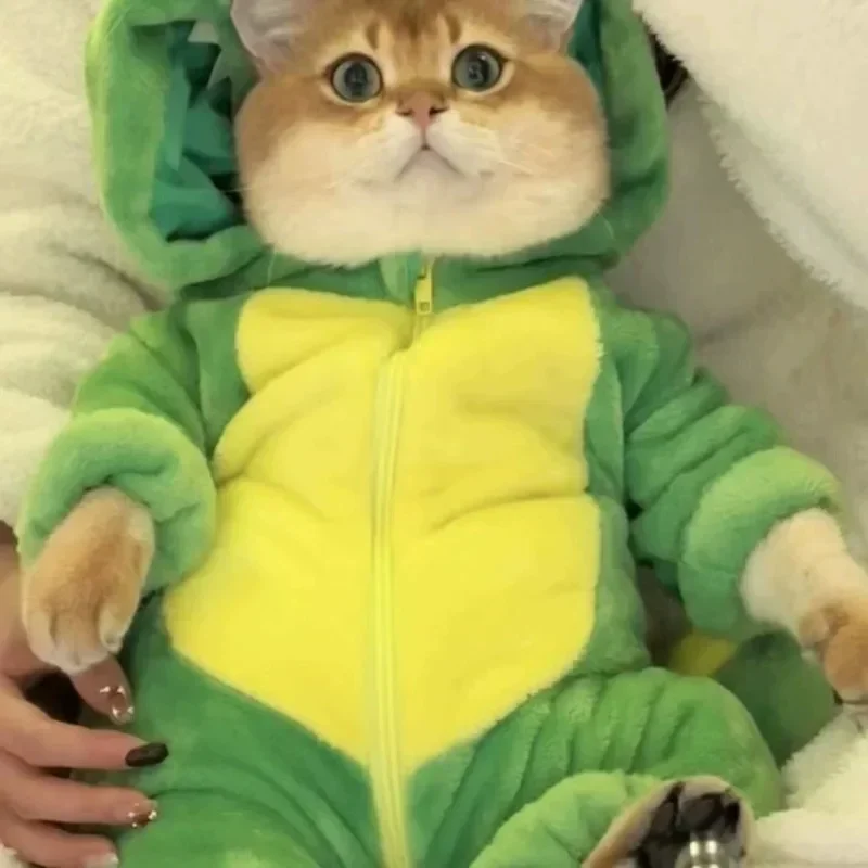 Dinossauro gato roupas de algodão teddy bomei outono e inverno flanela grossa quatro pernas pacote completo filhote de cachorro animal de estimação dos desenhos animados roupas de pelúcia