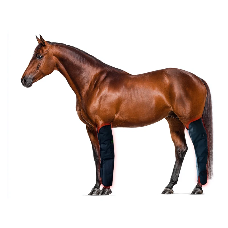 Horses Head Health Care 660nm 850nm Red Therapy Device Near Infrared Red Light Therapy Horse Boots